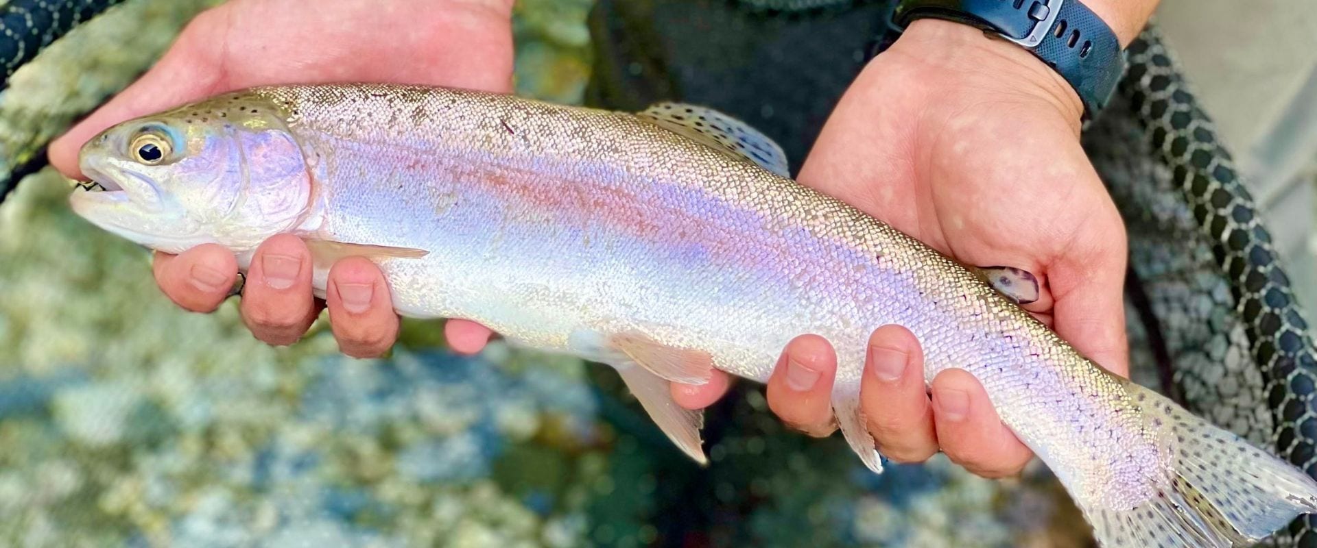 Angler fly fishing the San Juan River near Pagosa Springs Colorado