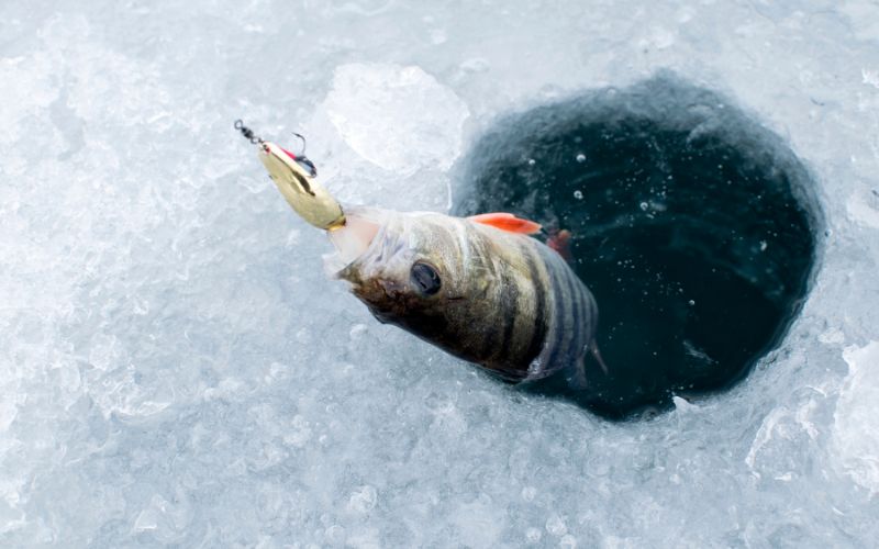 Anglers ice fishing on a frozen Colorado lake near Pagosa Springs