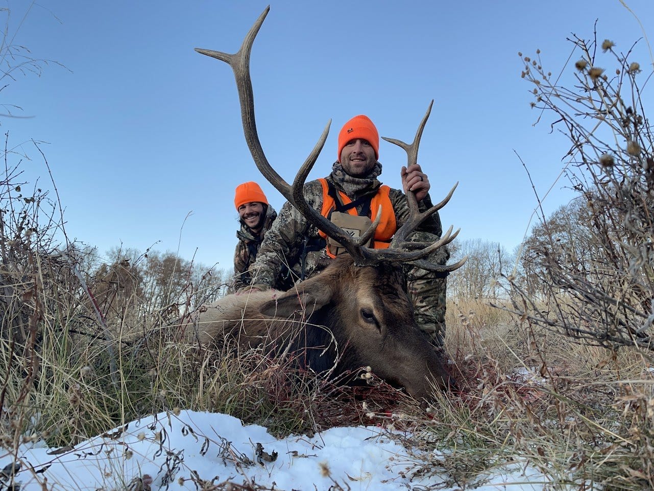 Trophy elk taken with archery gear from Ski & Bow Rack — Wall of Game