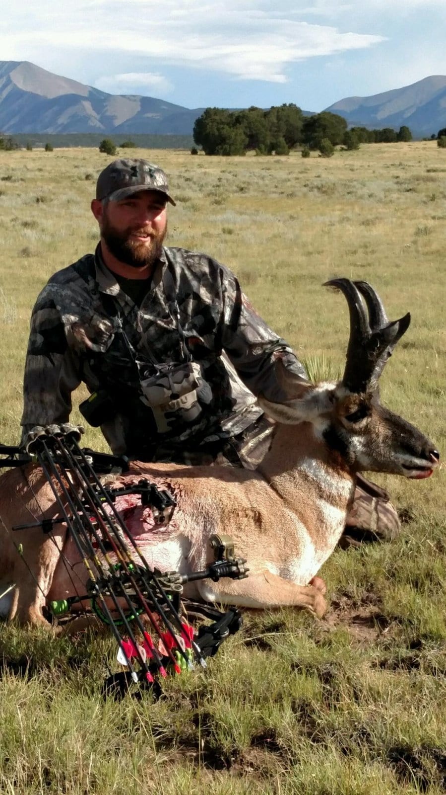 Bowhunting success in the San Juan National Forest — Ski & Bow Rack Wall of Game