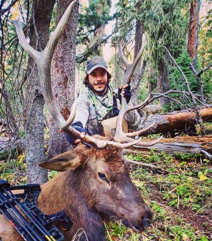 Colorado archery harvest — Wall of Game at Ski & Bow Rack Pagosa Springs