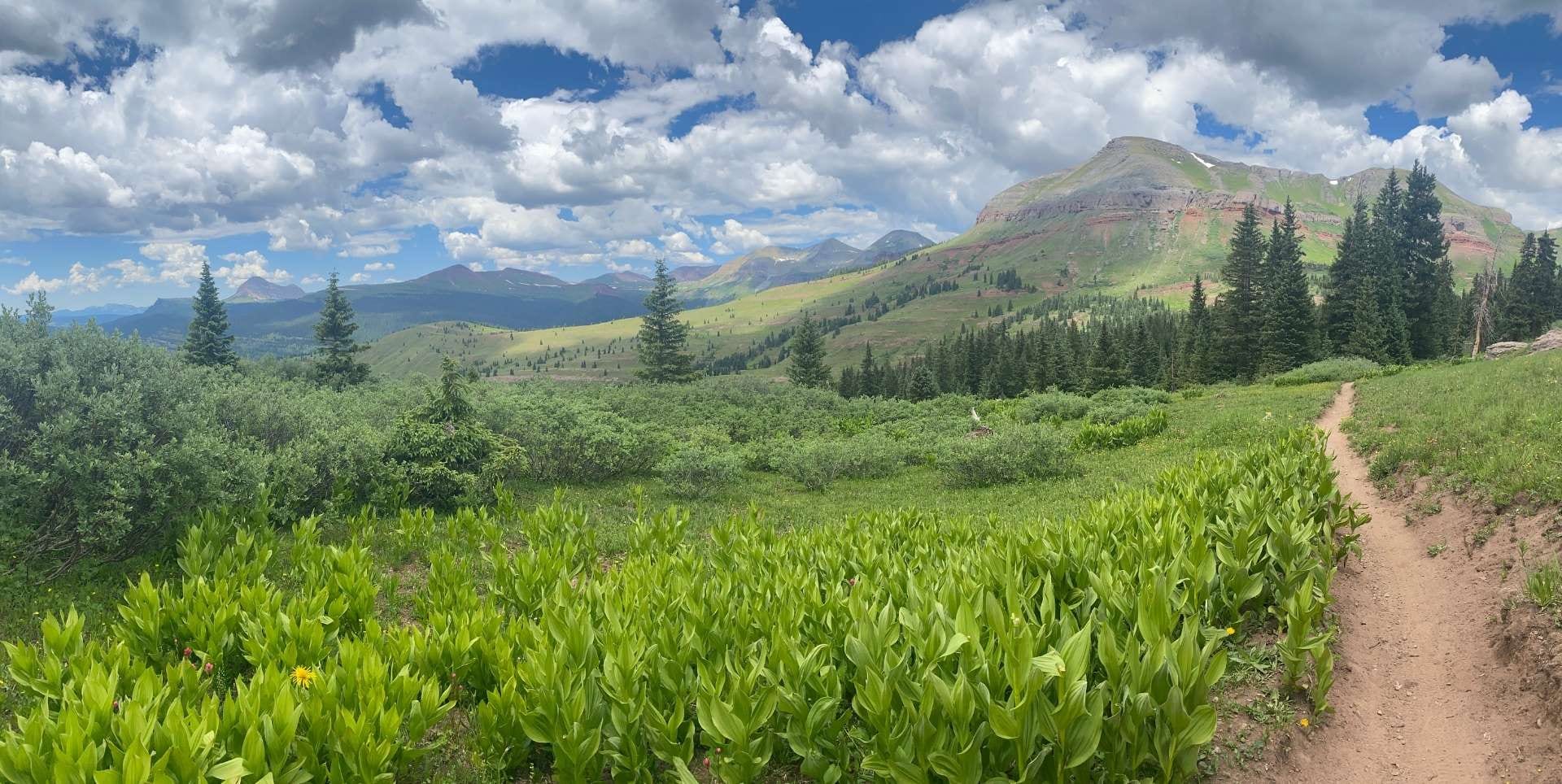 Hikers on a mountain trail in the San Juan Mountains near Pagosa Springs