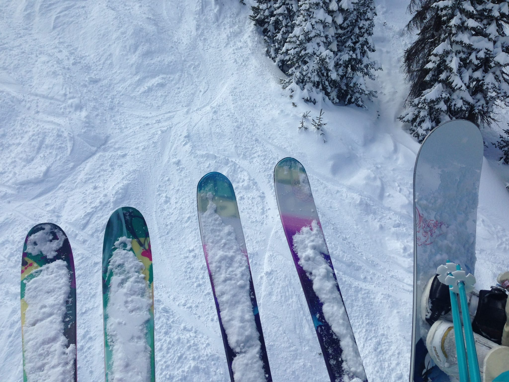 Snowshoe Package