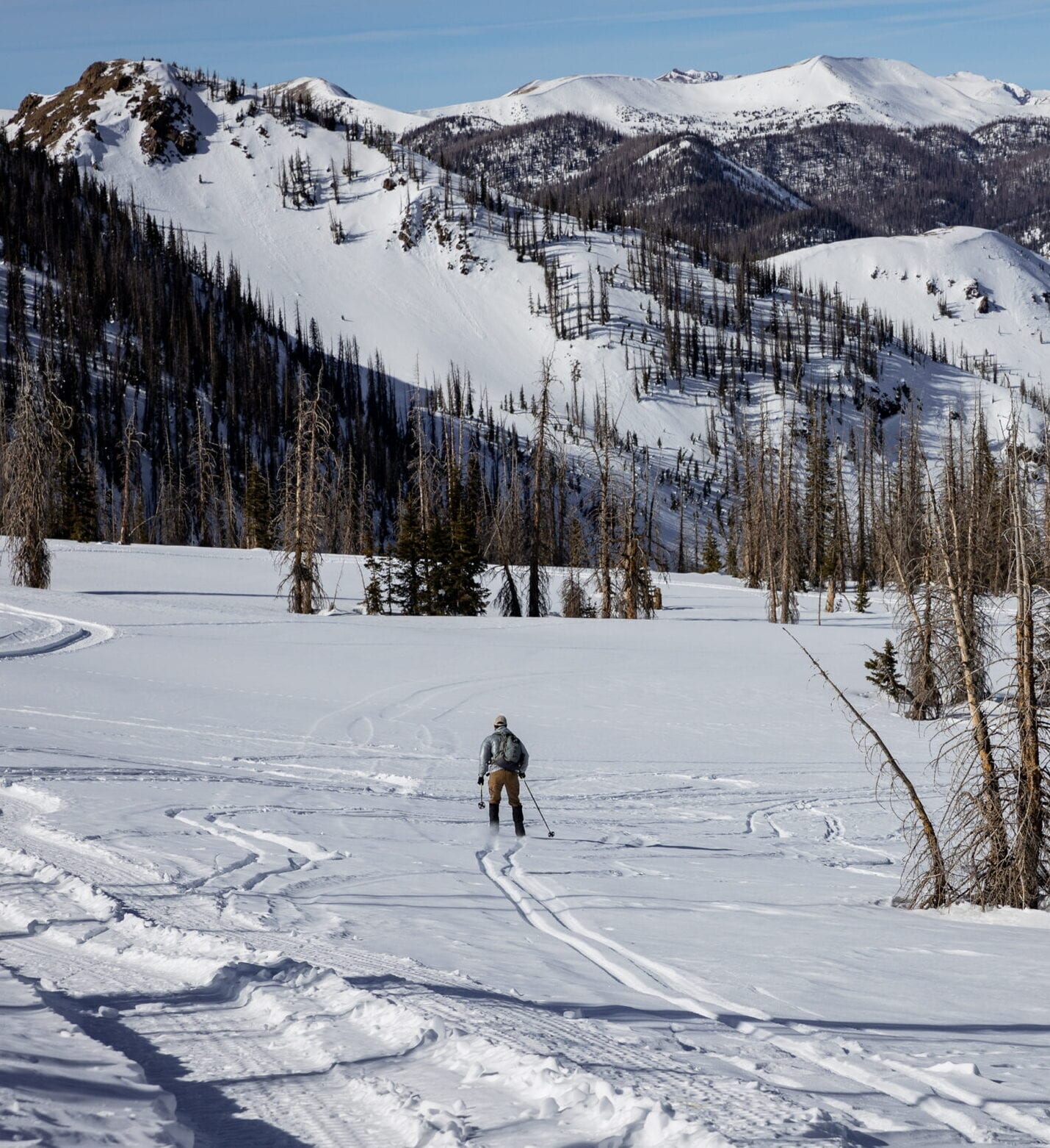 Skier carving a turn at Wolf Creek Ski Area near Pagosa Springs