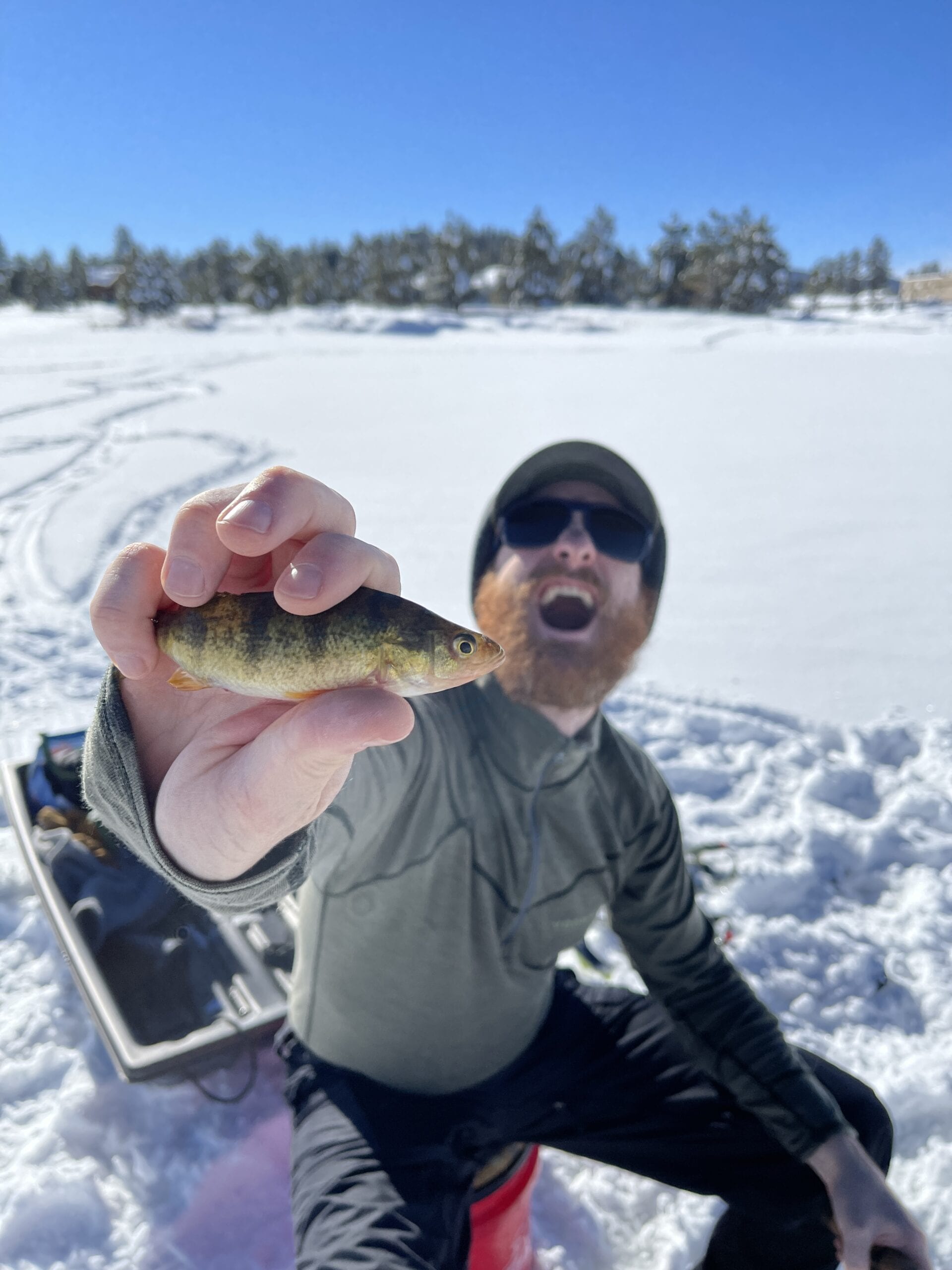 Ice fishing catch — Pagosa's 4th season