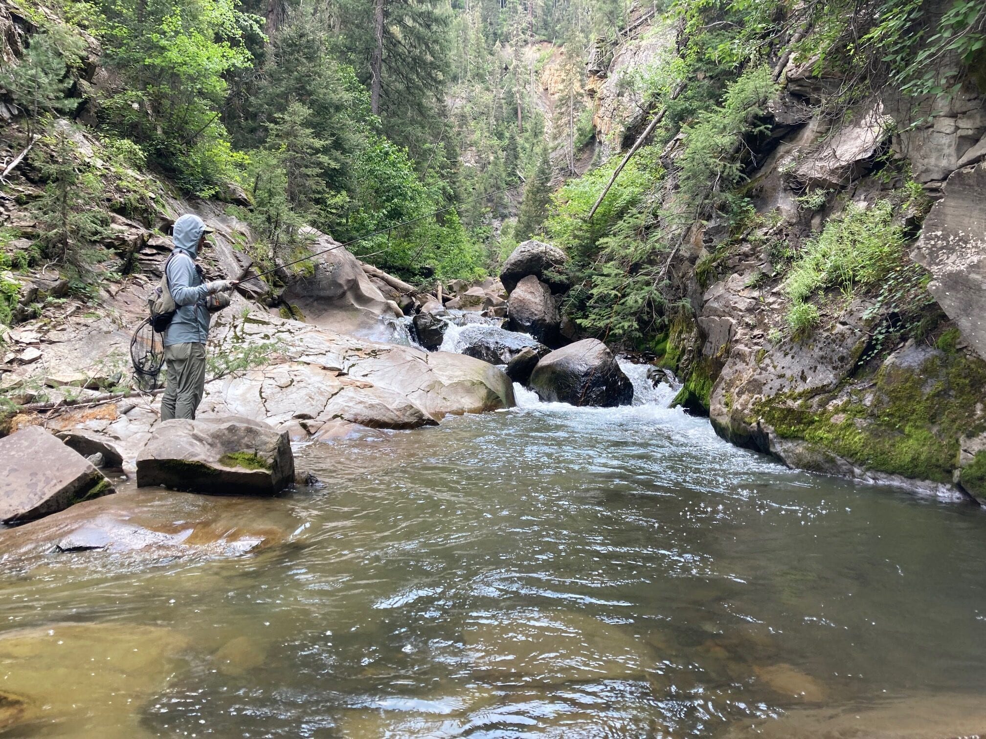 Fly fishing guide with angler on mountain stream guided trip Pagosa Springs Colorado
