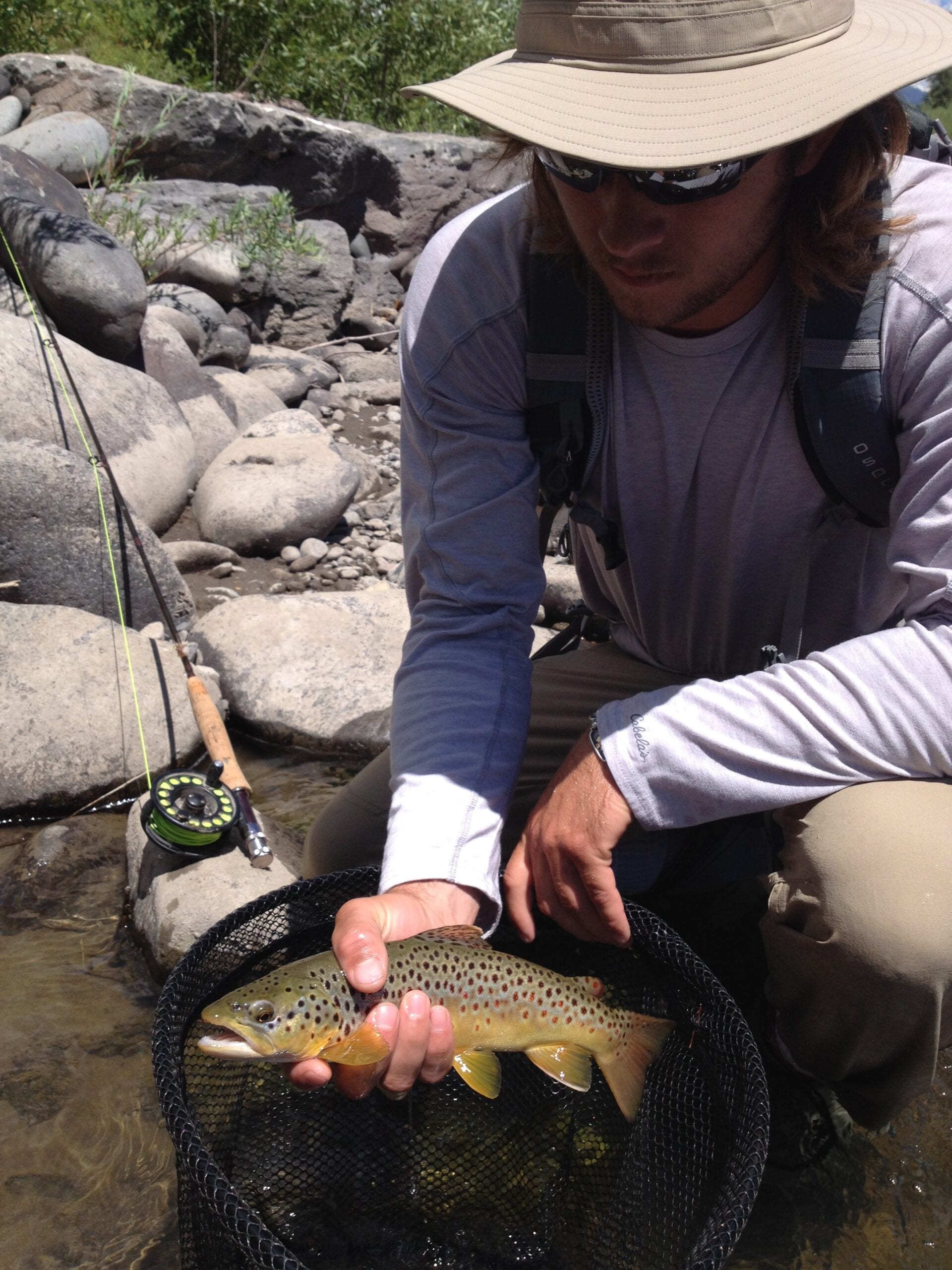 Fly fishing guide releasing a brown trout on a catch-and-release guided trip near Pagosa Springs
