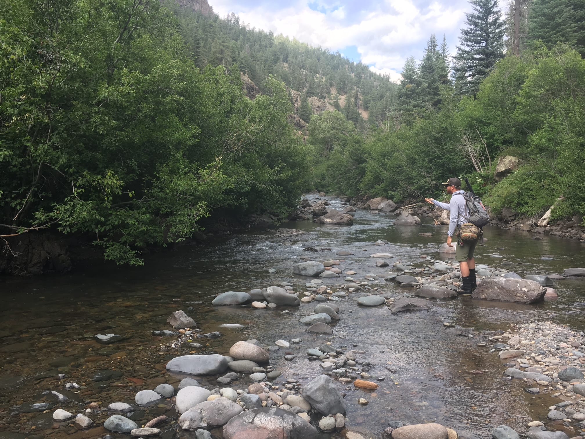 Guide netting trophy trout on guided fly fishing trip Pagosa Springs Colorado